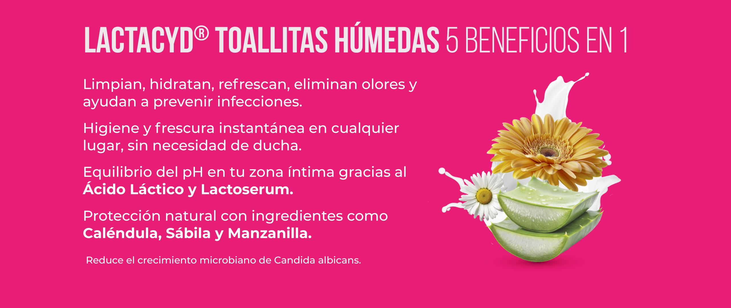Lactacyd Toallas 2