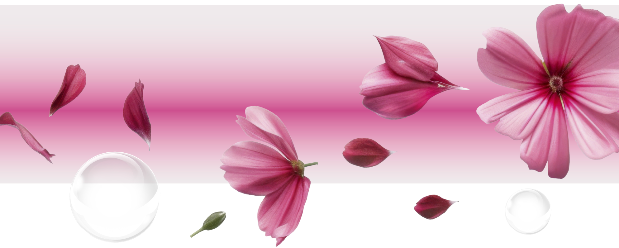 Lactacyd