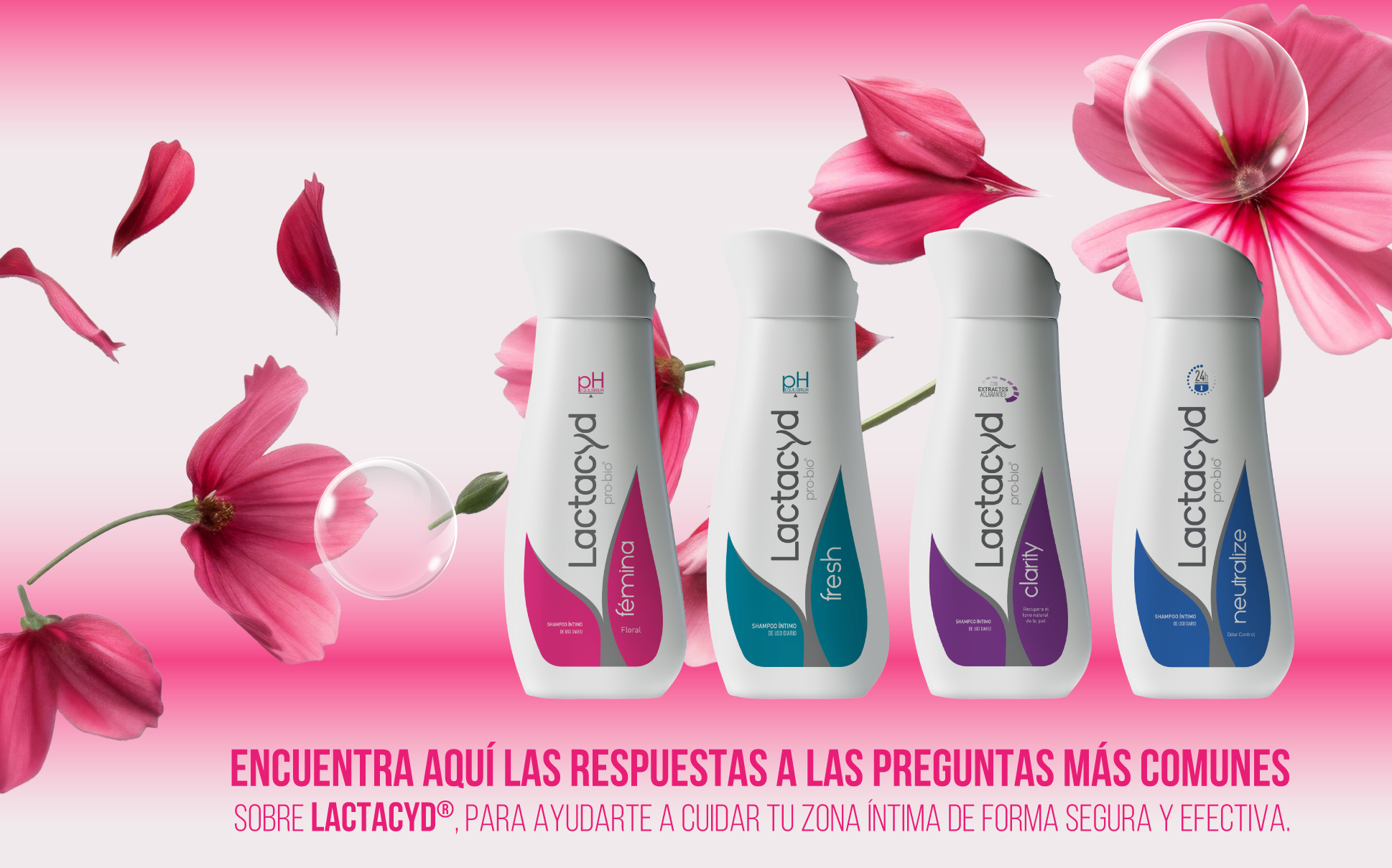 Preguntas Frecuentes Banner